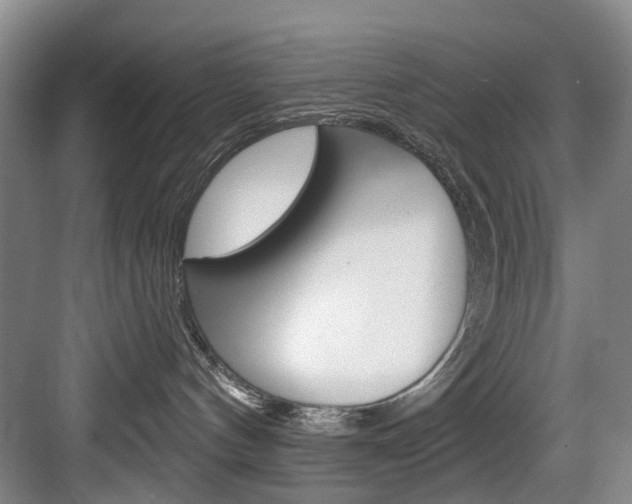 X0000084020144200702160836