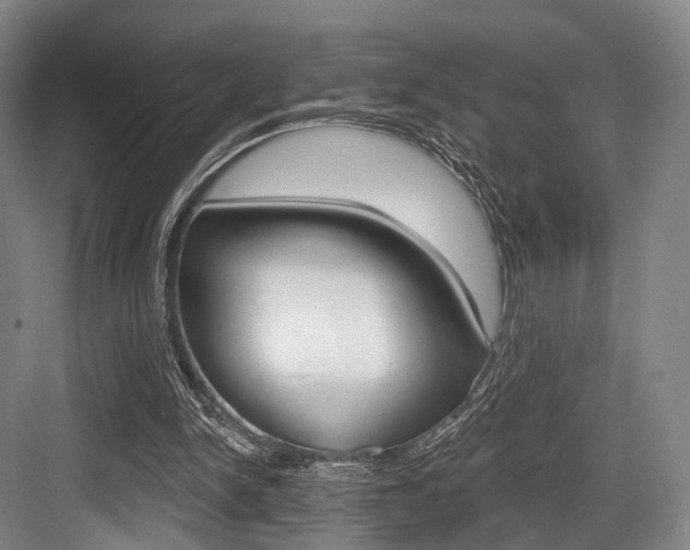 X0000084020150200702160835