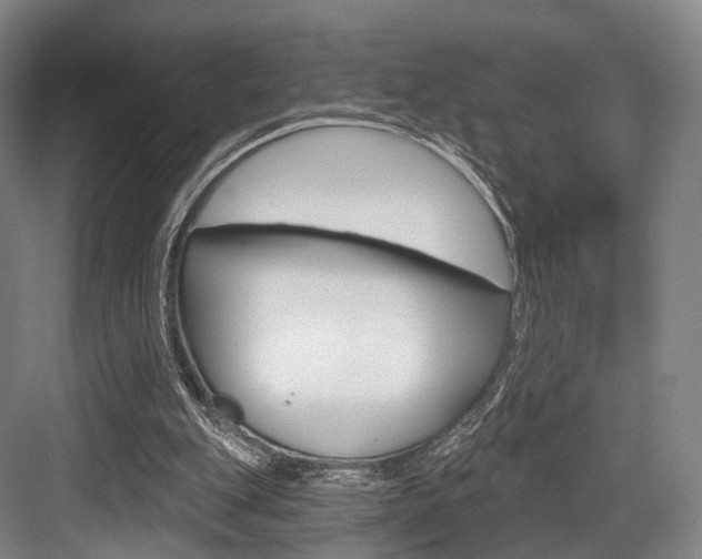 X0000084020151200702160835