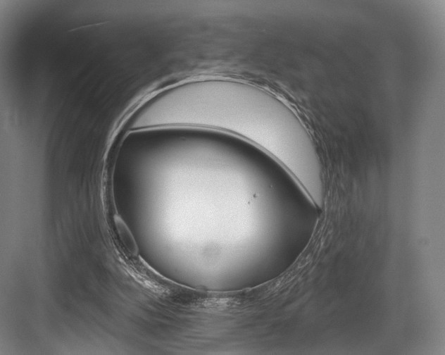 X0000084020152200702160835