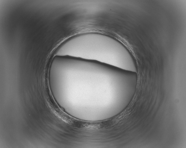 X0000084020155200702160835