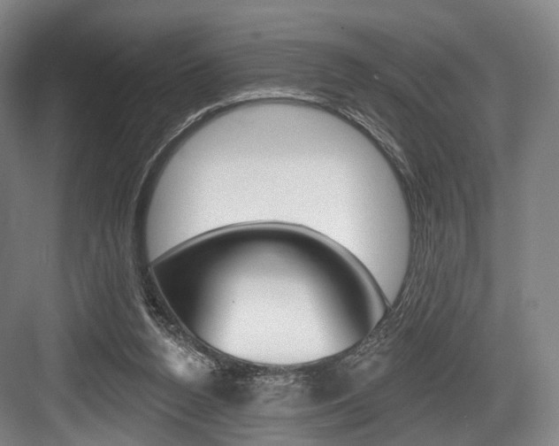 X0000084020160200702160835