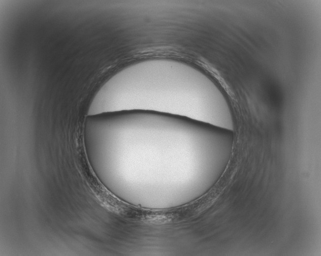X0000084020161200702160835