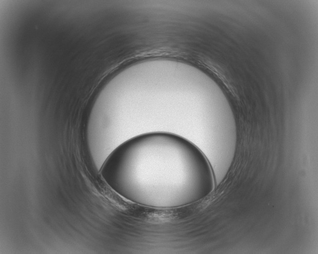 X0000084020164200702160836