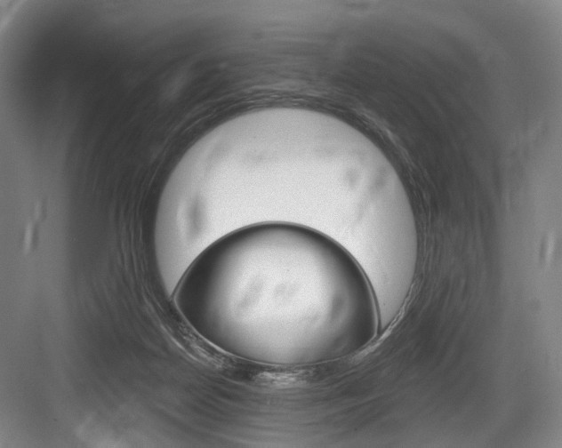 X0000084020170200702160836