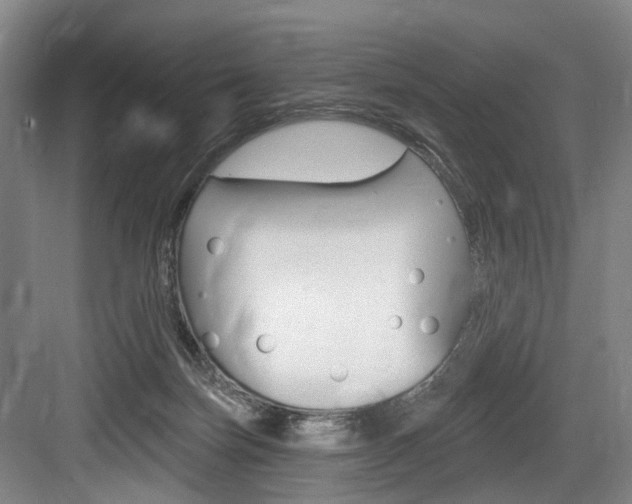 X0000084020171200702160836