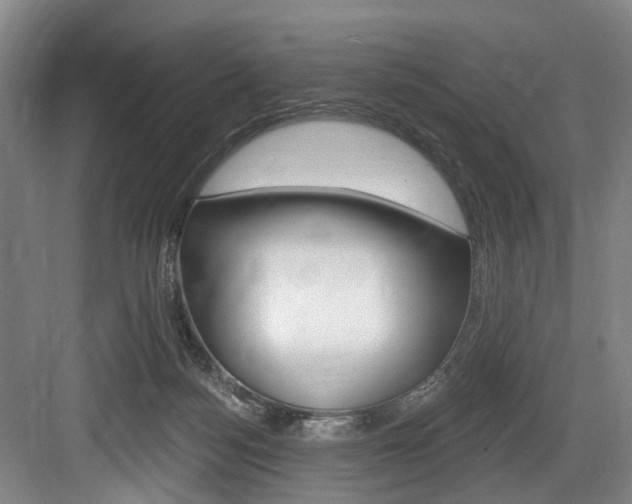 X0000084020172200702160836
