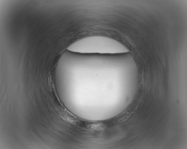 X0000084020173200702160836