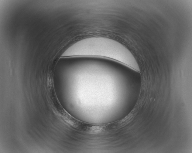 X0000084020176200702160836