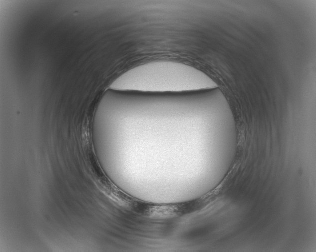X0000084020179200702160836