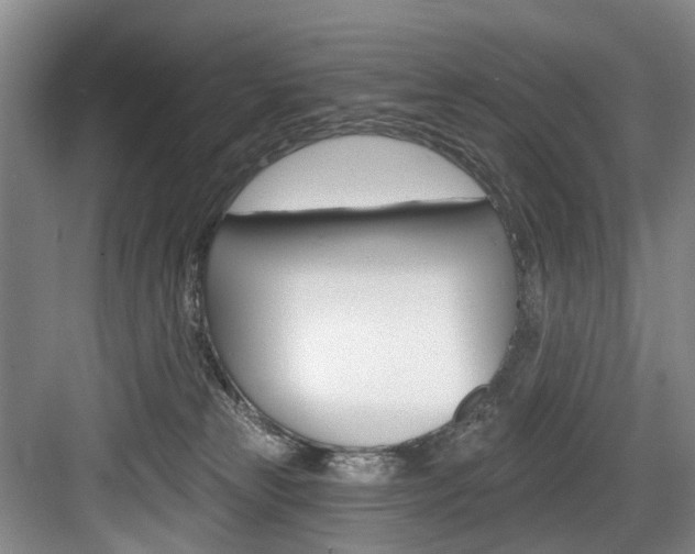 X0000084020181200702160836