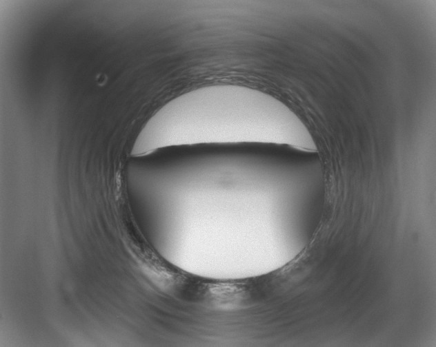 X0000084020183200702160836
