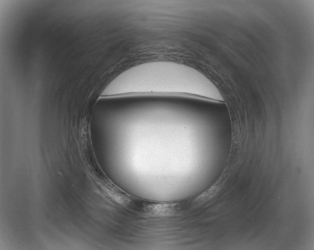 X0000084020184200702160836