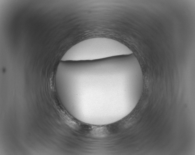 X0000084020185200702160836