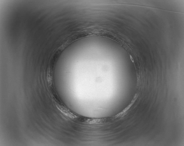 X0000084020186200702160836
