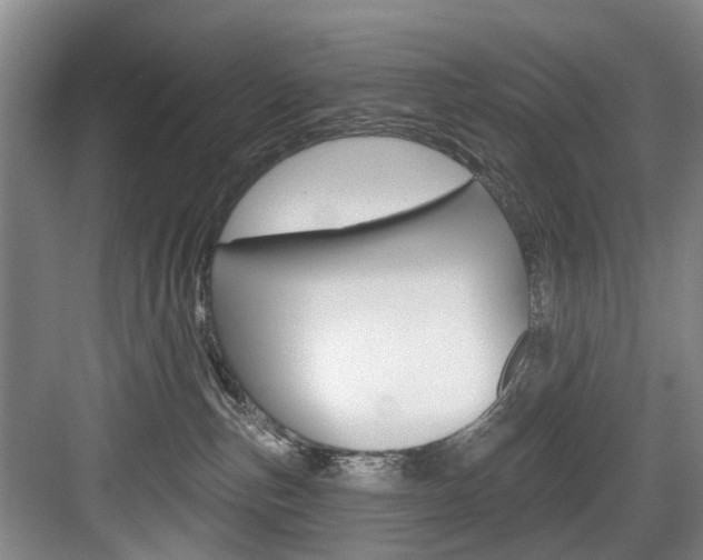 X0000084020187200702160836