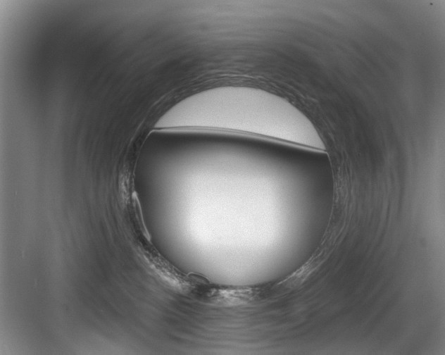 X0000084020188200702160836
