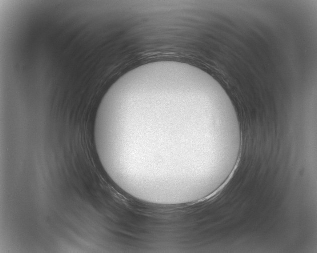 X0000084020190200702160836