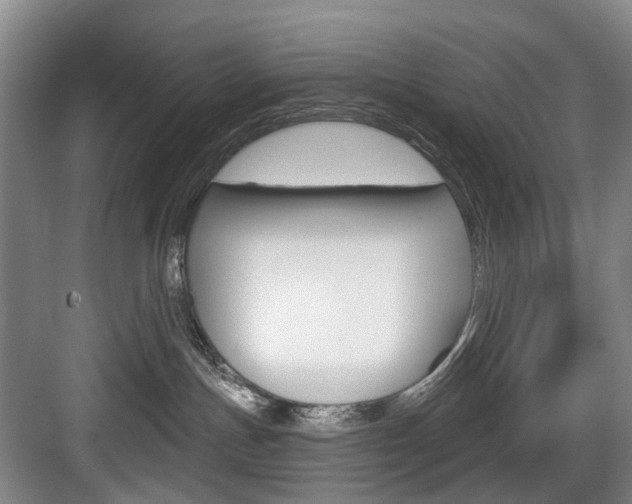 X0000084020191200702160836