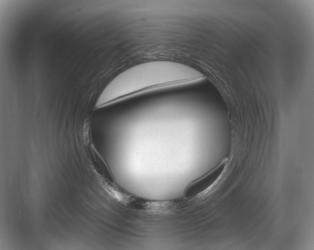 X0000084020192200702160836