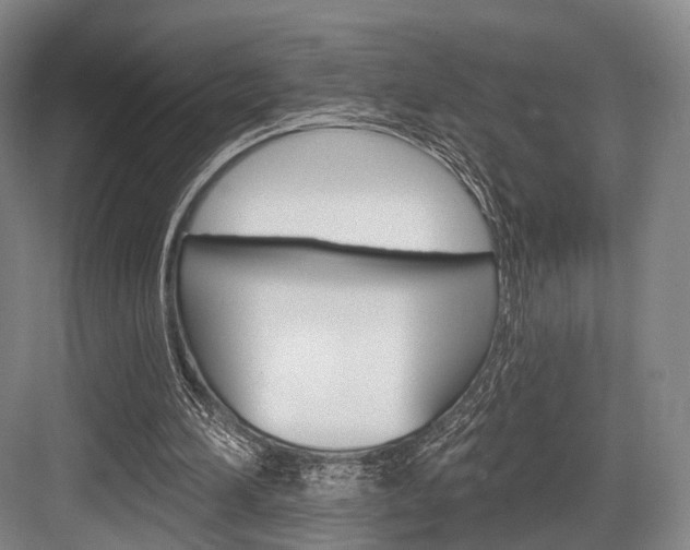 X0000084020196200702160835