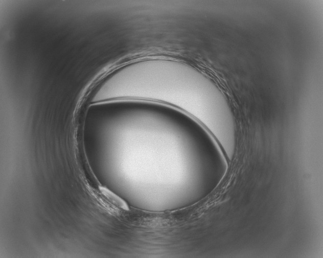 X0000084020197200702160835