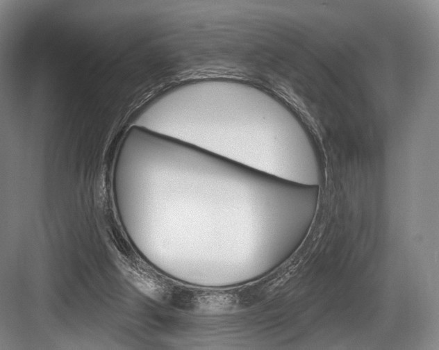 X0000084020202200702160835