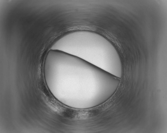 X0000084020206200702160835