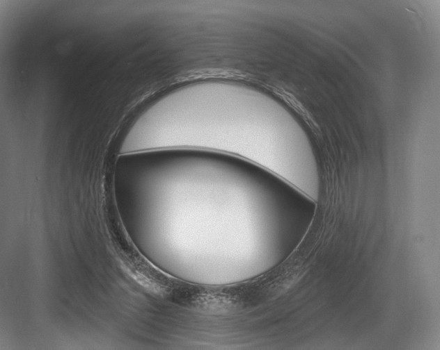 X0000084020207200702160835