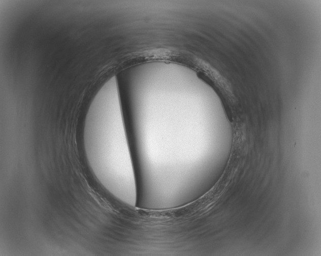 X0000084020209200702160835