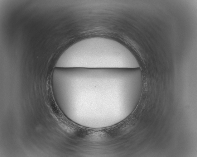 X0000084020210200702160835