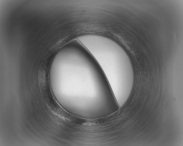 X0000084020211200702160835