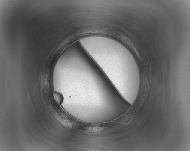 X0000084020212200702160835