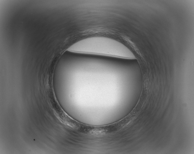 X0000084020213200702160835