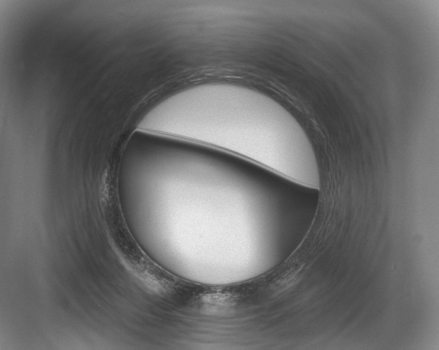 X0000084020216200702160835