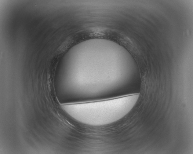 X0000084020223200702160834