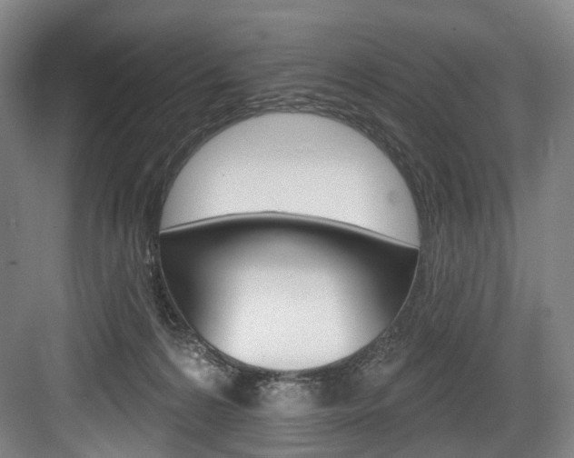 X0000084020224200702160834