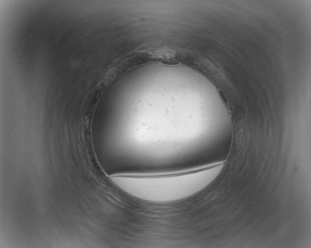 X0000084020229200702160834