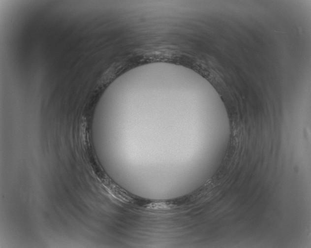 X0000084020231200702160834