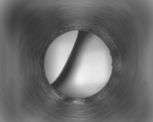 X0000084020232200702160834