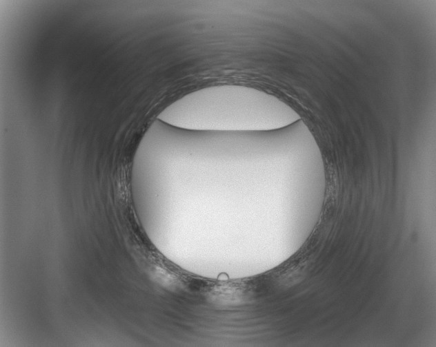X0000084020236200702160834
