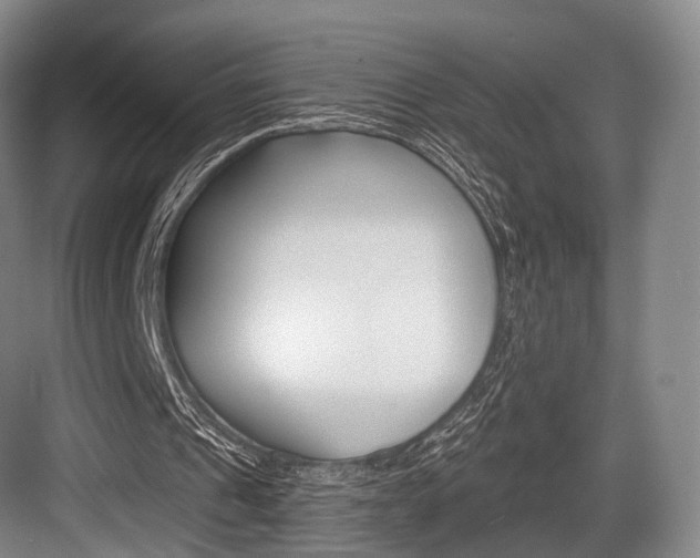 X0000084020241200702160833