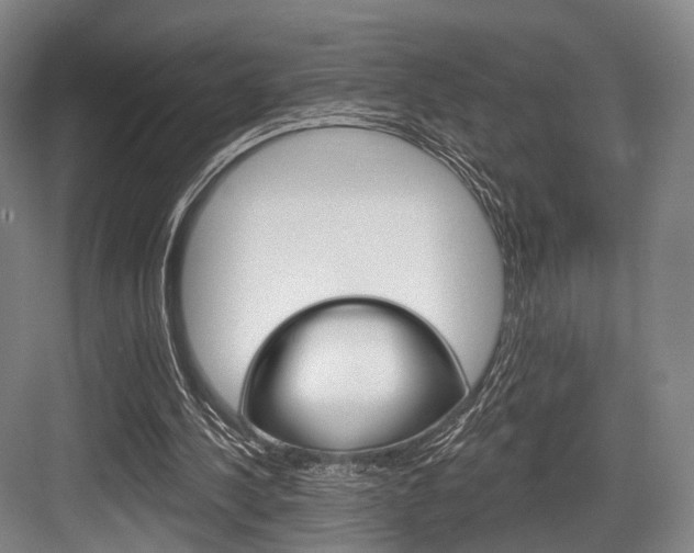 X0000084020244200702160833