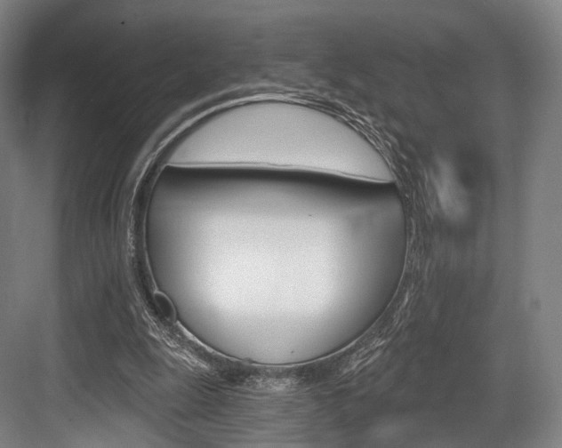 X0000084020247200702160833