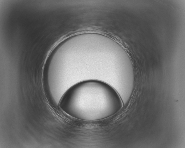 X0000084020248200702160833