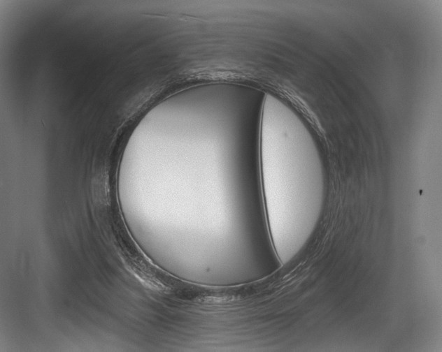 X0000084020251200702160833