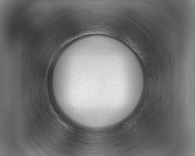 X0000084020252200702160833