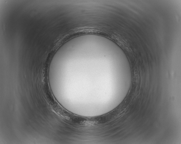 X0000084020255200702160834