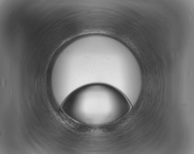 X0000084020256200702160834
