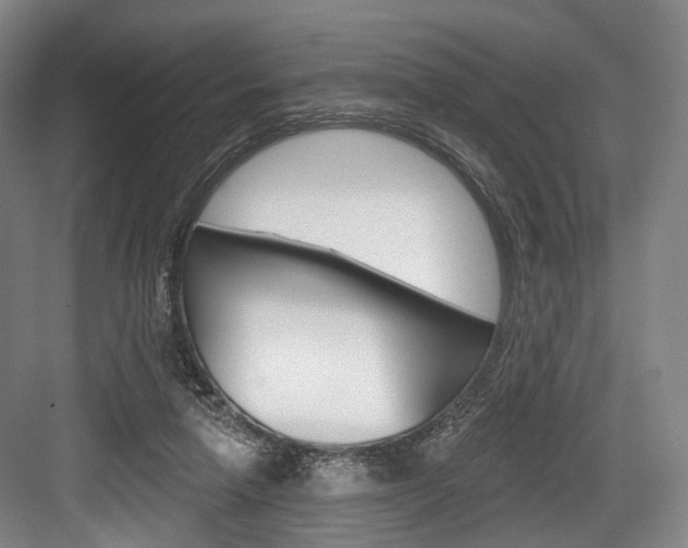 X0000084020258200702160834